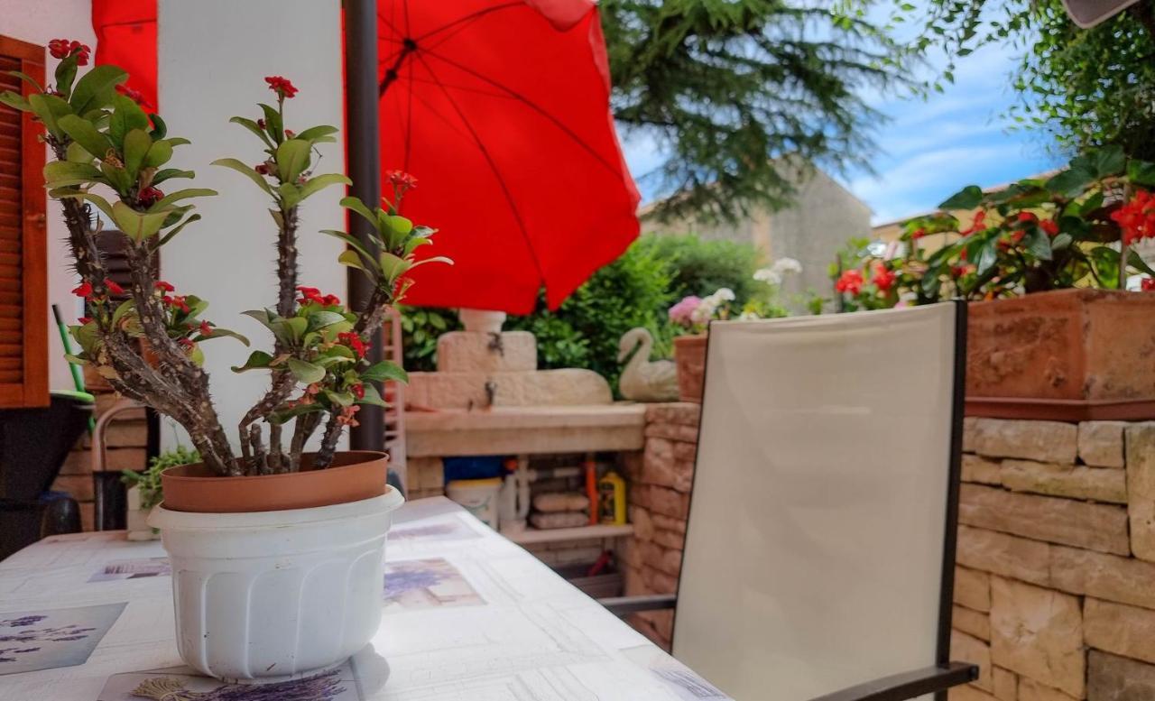 Valentino Apartment Novigrad  Bagian luar foto