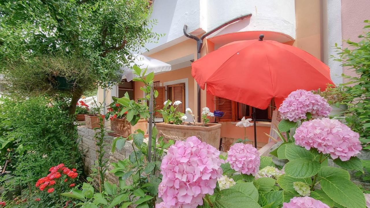 Valentino Apartment Novigrad  Bagian luar foto